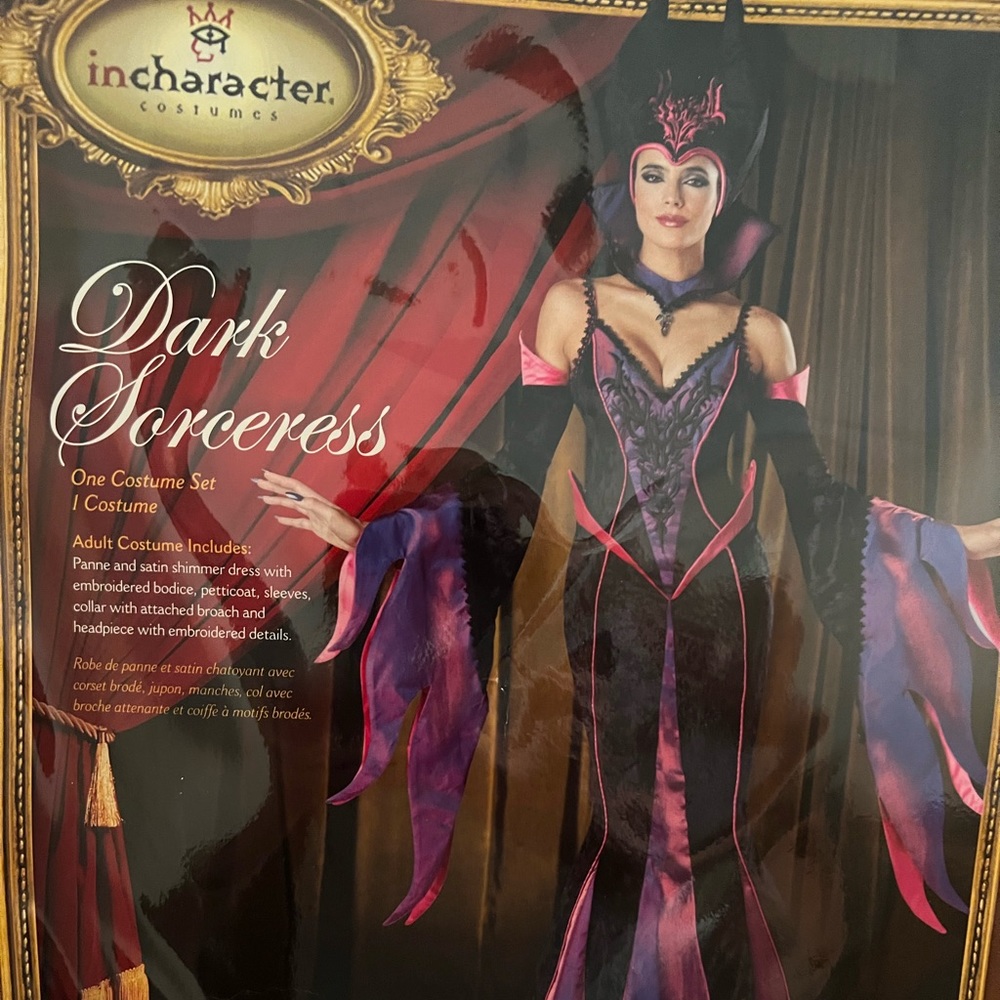 Womens Sorceress Costume